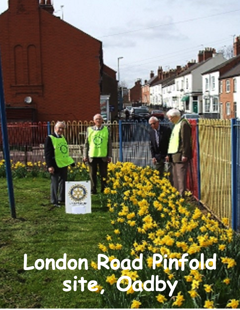 OadbyPinfold-2020