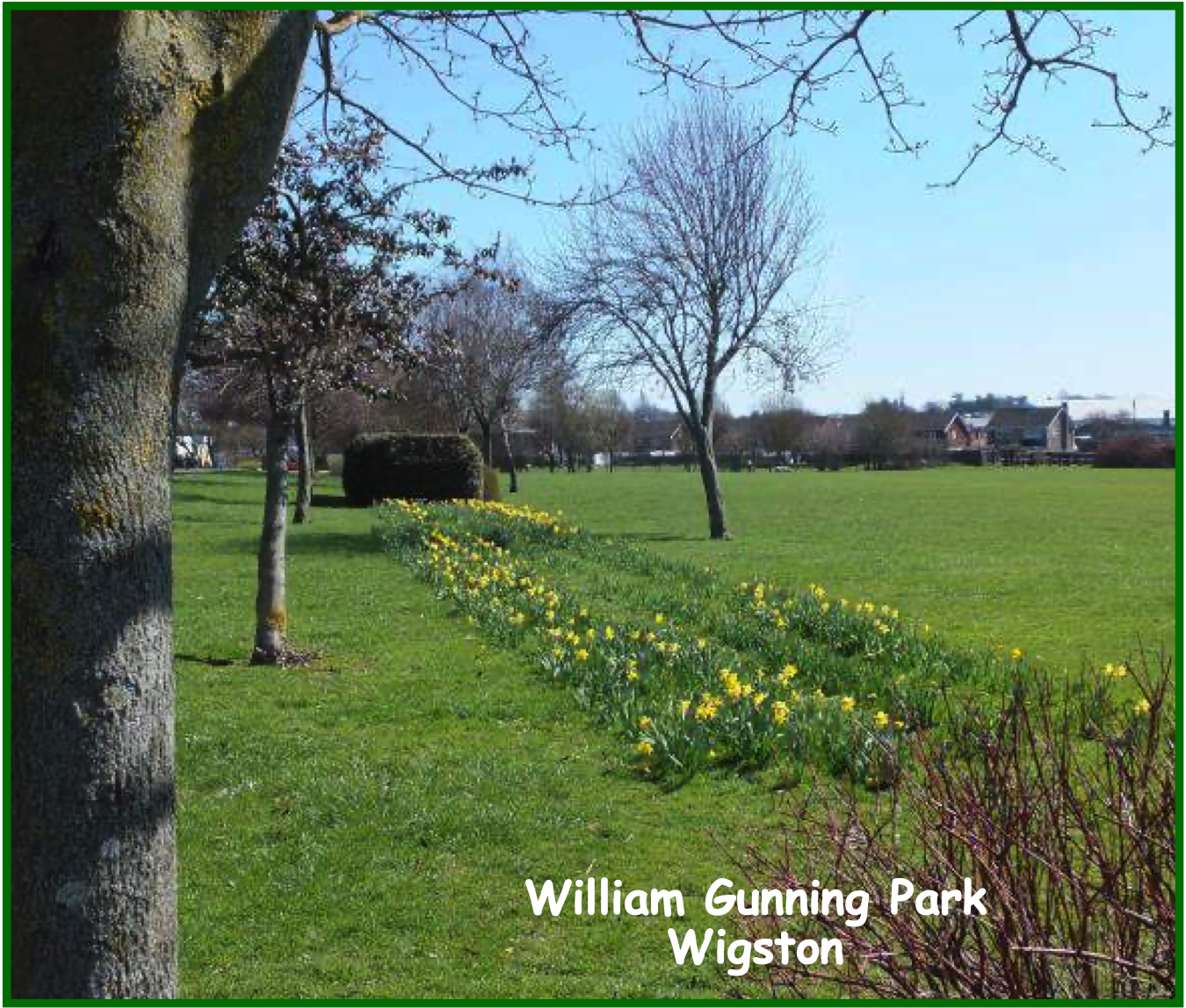 William Gunning-2020